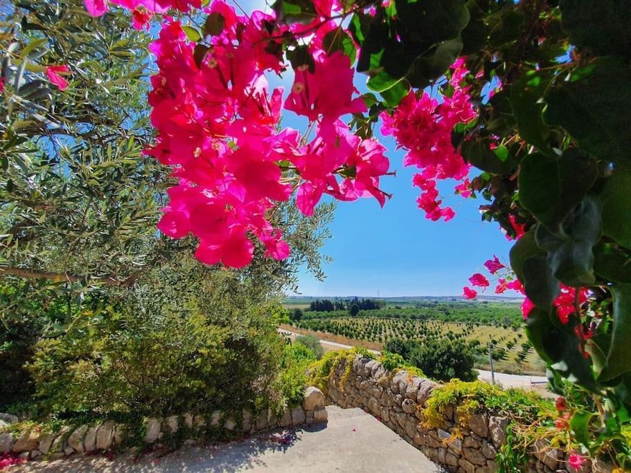 Villa Calma Noto Luaran gambar