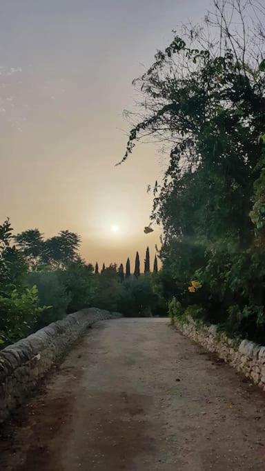 Villa Calma Noto Luaran gambar